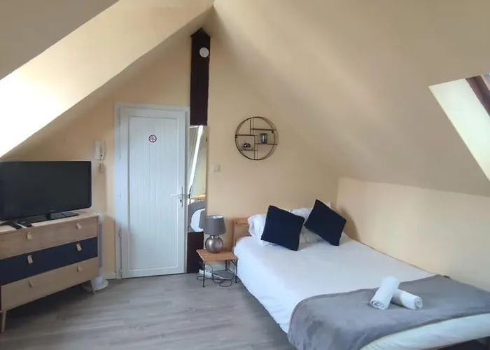L\'Essentiel - Appart. Charming In Tours